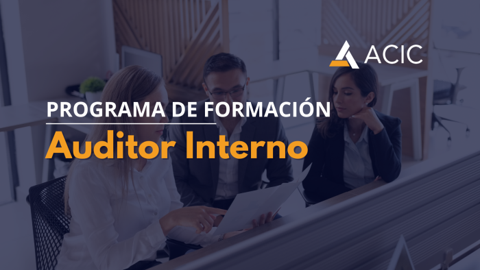Auditor Interno Integrado