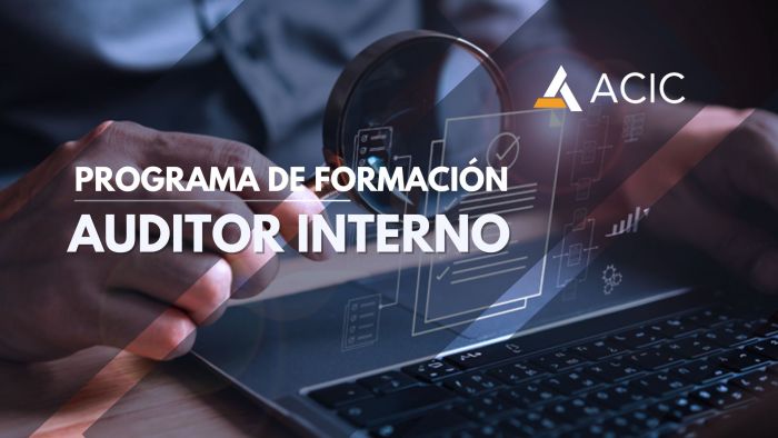 Auditor Interno Integrado